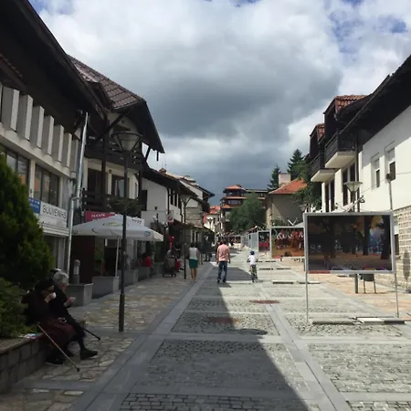 Dom wakacyjny Pirin Sun Holiday House *